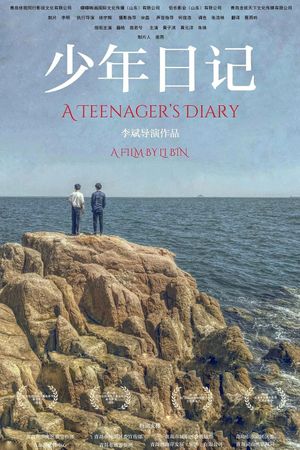 A Teenager's Diary's poster