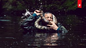 Animals on the Loose: A You vs. Wild Interactive Movie's poster