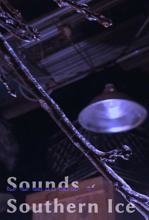 Sounds Of Southern Ice's poster image