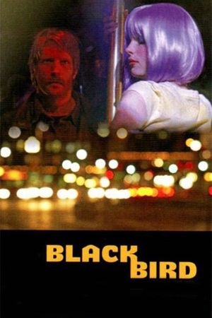 Blackbird's poster