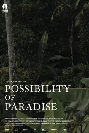 Possibility of Paradise's poster