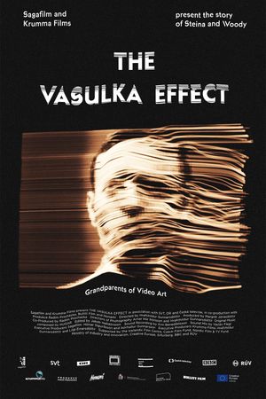 The Vasulka Effect's poster