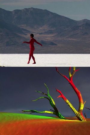 bodies of the desert's poster