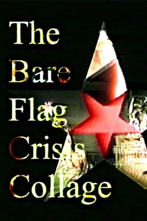 The Bare Flag Crisis Collage's poster