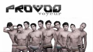 Provoq Voyeur's poster