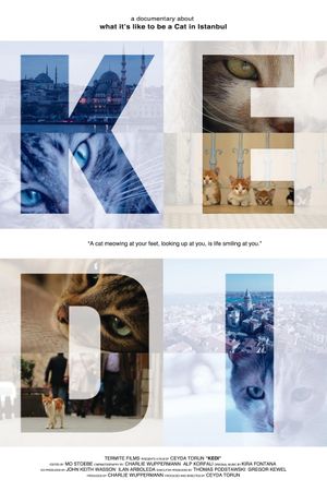 Kedi's poster