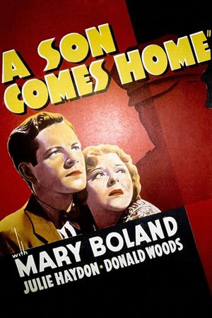 A Son Comes Home's poster