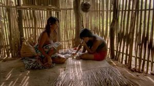 The Buriti Flower's poster