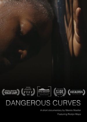 Dangerous Curves's poster image