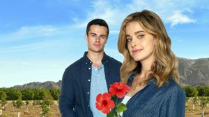 Flowers and Honey's poster