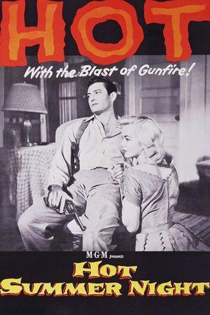Hot Summer Night's poster