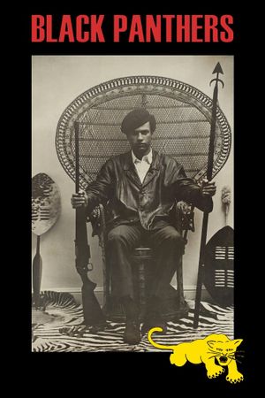 Black Panthers's poster
