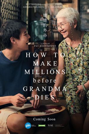 How to Make Millions Before Grandma Dies's poster
