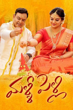 Malli Pelli's poster
