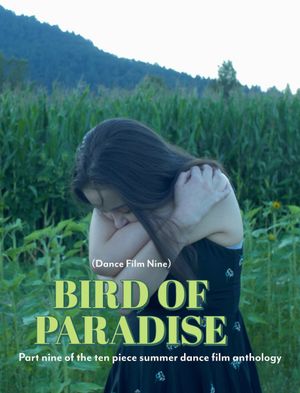 Bird of Paradise - Dance Film Nine's poster