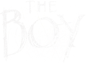 The Boy's poster