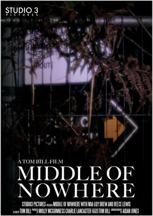 Middle of Nowhere's poster