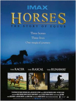 Horses: The Story of Equus's poster