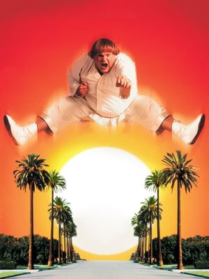 Beverly Hills Ninja's poster