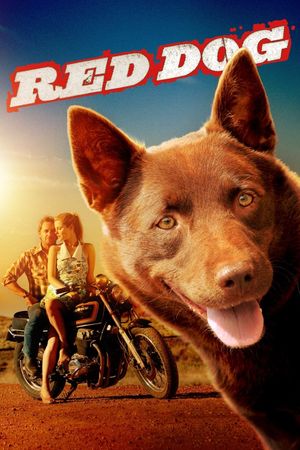 Red Dog's poster
