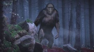 On the Trail of Bigfoot: The Discovery's poster