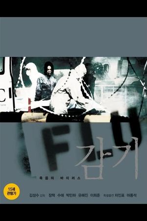 Flu's poster