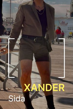 Xander: sida's poster