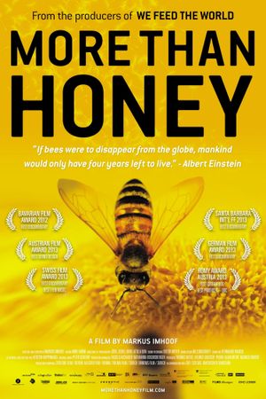 More Than Honey's poster