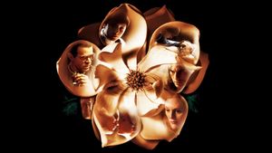Magnolia's poster