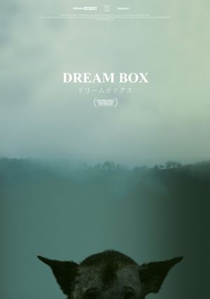 Dream Box's poster