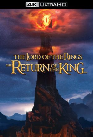 The Lord of the Rings: The Return of the King's poster