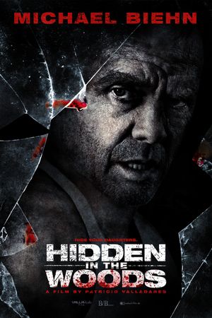 Hidden in the Woods's poster
