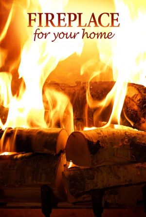 4K Fireplace's poster