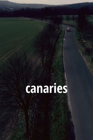 Canaries's poster