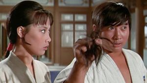 Lady Kung Fu's poster
