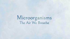 Microorganisms: The Air We Breathe's poster