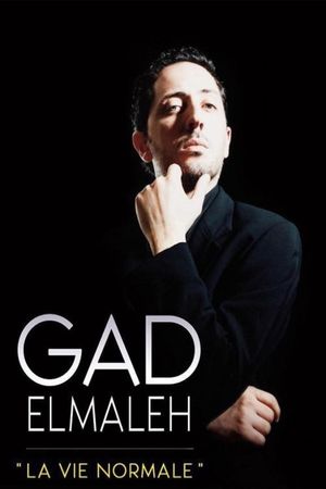 Gad Elmaleh - The Normal Life's poster