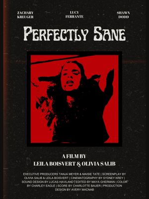 Perfectly Sane's poster