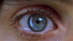 Requiem for a Dream's poster
