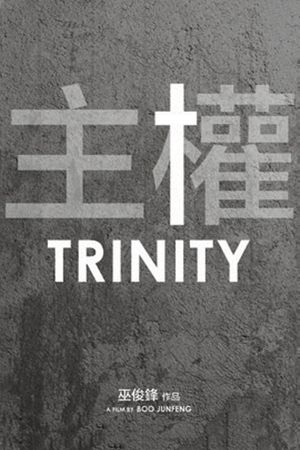 Trinity's poster image