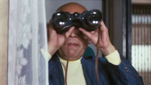 Afternoon Affair: Rear Window's poster
