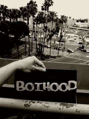 Boihood's poster
