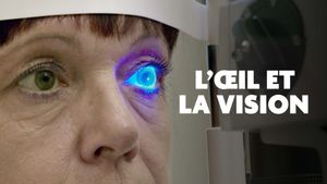 Das auge - Forschung sehen's poster