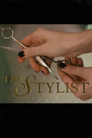 The Stylist's poster