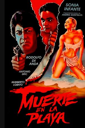 Death on the Beach's poster
