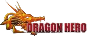 Dragon Hero's poster
