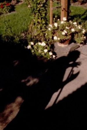 Out in the Garden's poster