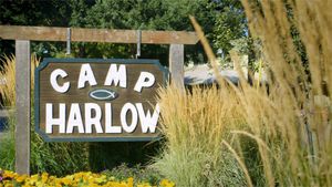 Camp Harlow's poster