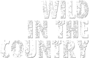 Wild in the Country's poster