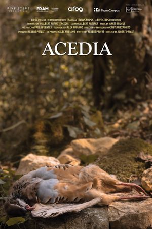 Acedia's poster